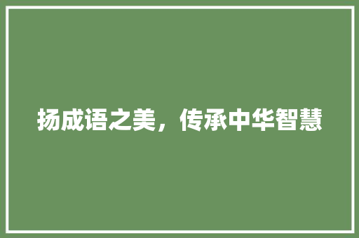 扬成语之美，传承中华智慧