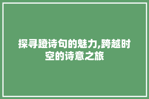 探寻蹬诗句的魅力,跨越时空的诗意之旅