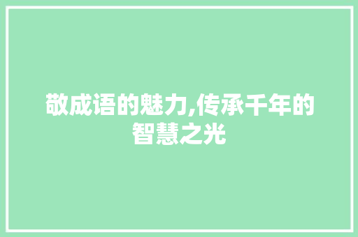 敬成语的魅力,传承千年的智慧之光