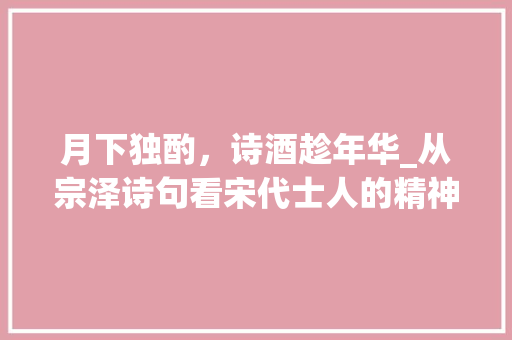 月下独酌，诗酒趁年华_从宗泽诗句看宋代士人的精神风貌