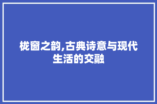 栊窗之韵,古典诗意与现代生活的交融