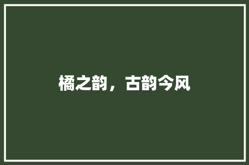 橘之韵，古韵今风