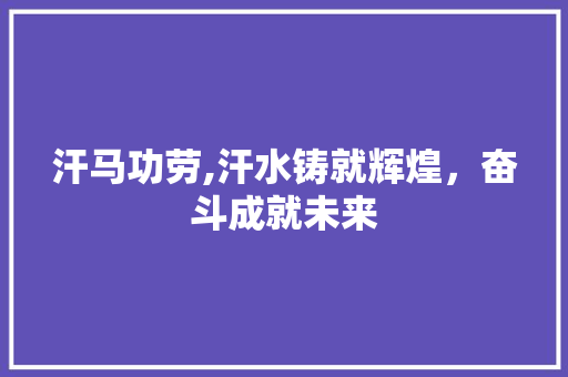 汗马功劳,汗水铸就辉煌，奋斗成就未来