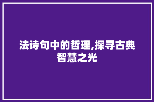 法诗句中的哲理,探寻古典智慧之光