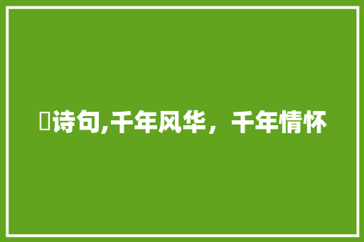 泴诗句,千年风华，千年情怀