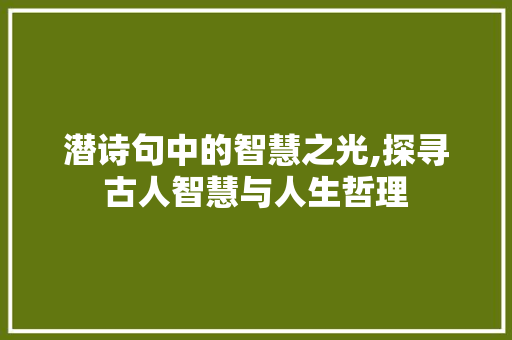 潜诗句中的智慧之光,探寻古人智慧与人生哲理