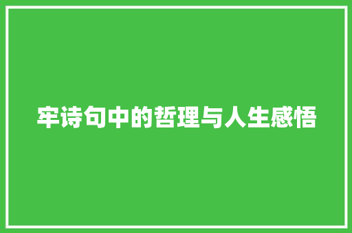 牢诗句中的哲理与人生感悟