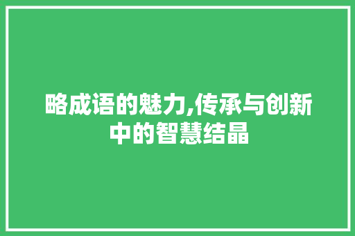 略成语的魅力,传承与创新中的智慧结晶