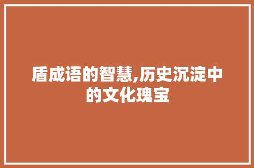 盾成语的智慧,历史沉淀中的文化瑰宝