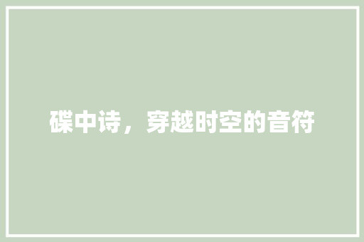 碟中诗，穿越时空的音符