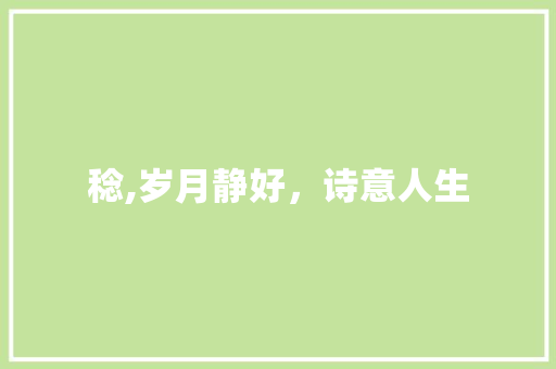 稔,岁月静好，诗意人生