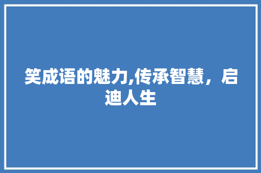 笑成语的魅力,传承智慧，启迪人生