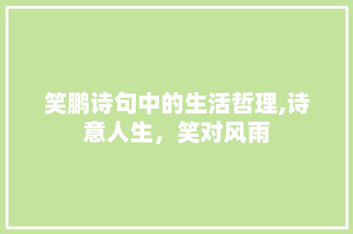 笑鹏诗句中的生活哲理,诗意人生，笑对风雨