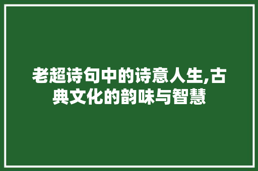 老超诗句中的诗意人生,古典文化的韵味与智慧