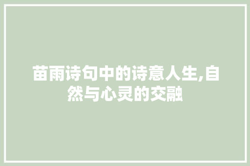 苗雨诗句中的诗意人生,自然与心灵的交融