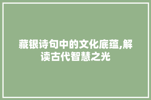 藏银诗句中的文化底蕴,解读古代智慧之光