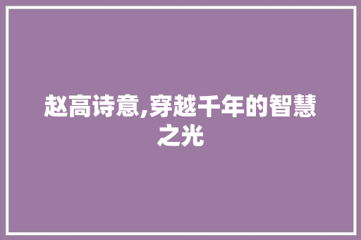 赵高诗意,穿越千年的智慧之光