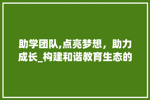 助学团队,点亮梦想，助力成长_构建和谐教育生态的重要力量