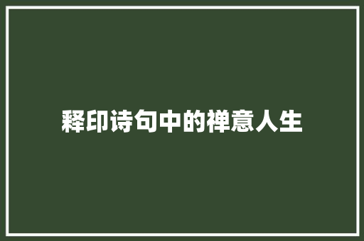 释印诗句中的禅意人生
