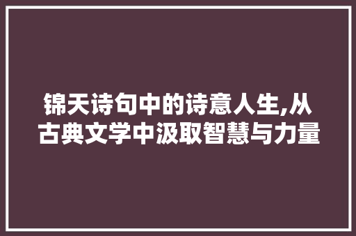 锦天诗句中的诗意人生,从古典文学中汲取智慧与力量