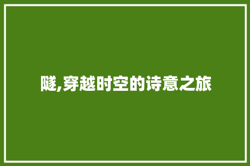 隧,穿越时空的诗意之旅