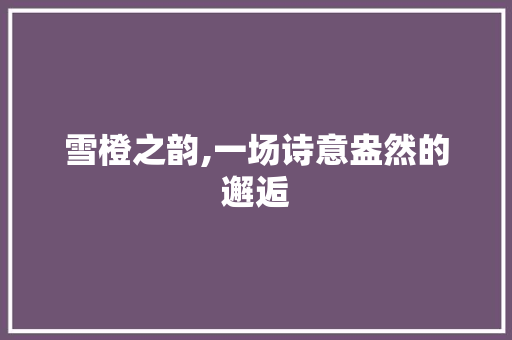 雪橙之韵,一场诗意盎然的邂逅