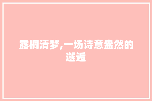 露桐清梦,一场诗意盎然的邂逅