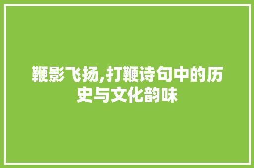 鞭影飞扬,打鞭诗句中的历史与文化韵味