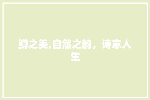 鳟之美,自然之韵，诗意人生