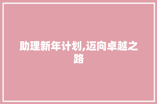 助理新年计划,迈向卓越之路