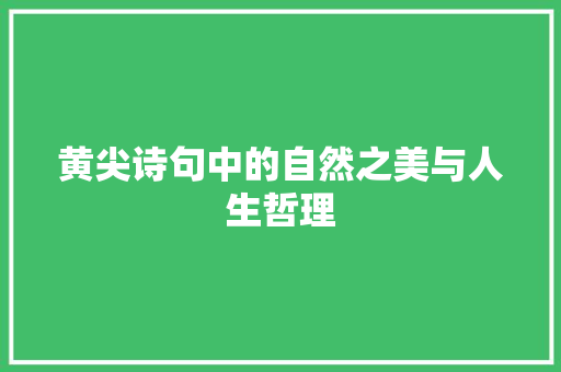 黄尖诗句中的自然之美与人生哲理
