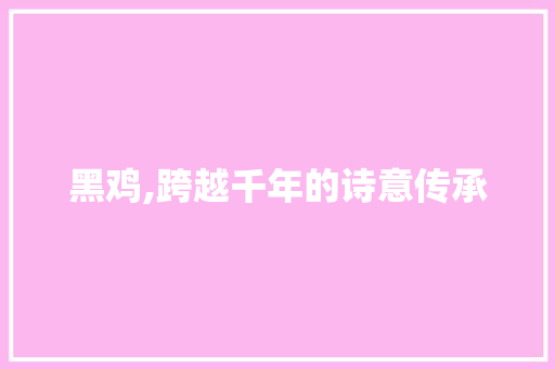 黑鸡,跨越千年的诗意传承