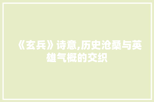 《玄兵》诗意,历史沧桑与英雄气概的交织