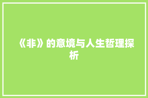 《非》的意境与人生哲理探析