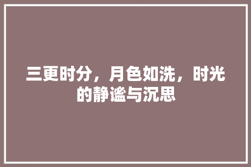 三更时分，月色如洗，时光的静谧与沉思