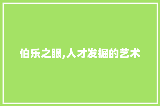 伯乐之眼,人才发掘的艺术
