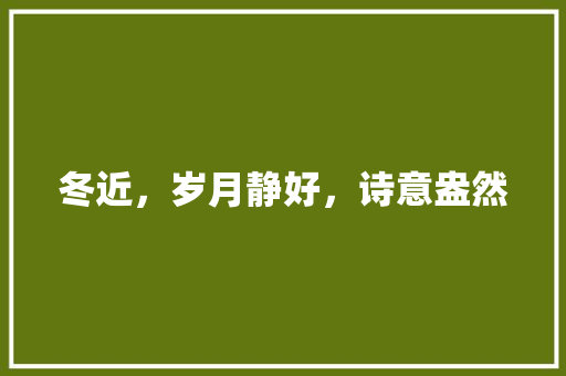 冬近，岁月静好，诗意盎然