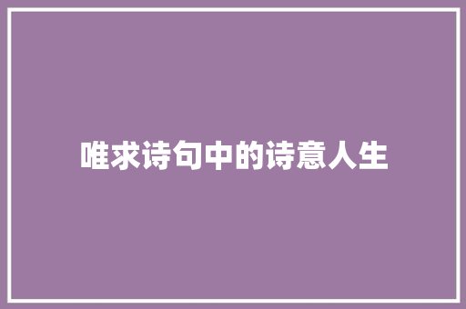 唯求诗句中的诗意人生