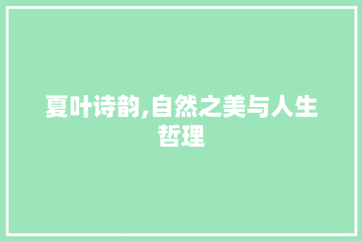 夏叶诗韵,自然之美与人生哲理