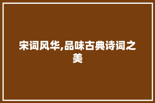宋词风华,品味古典诗词之美