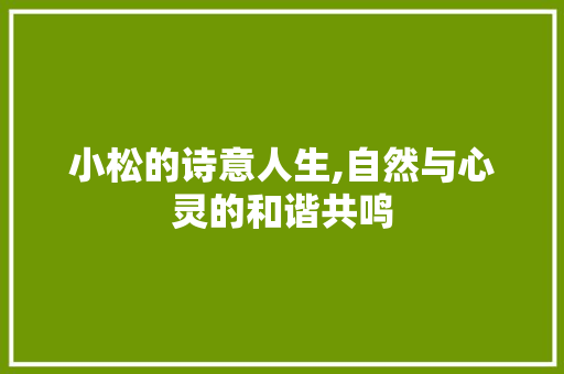 小松的诗意人生,自然与心灵的和谐共鸣