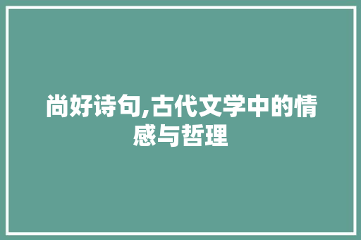 尚好诗句,古代文学中的情感与哲理