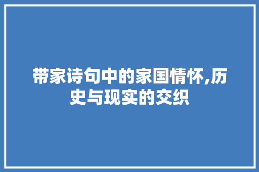带家诗句中的家国情怀,历史与现实的交织
