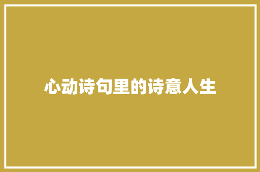心动诗句里的诗意人生