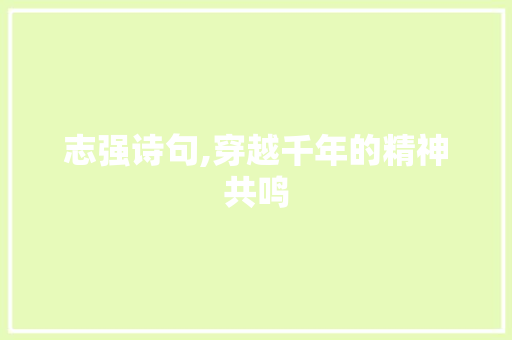 志强诗句,穿越千年的精神共鸣