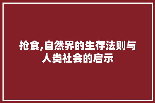 抢食,自然界的生存法则与人类社会的启示