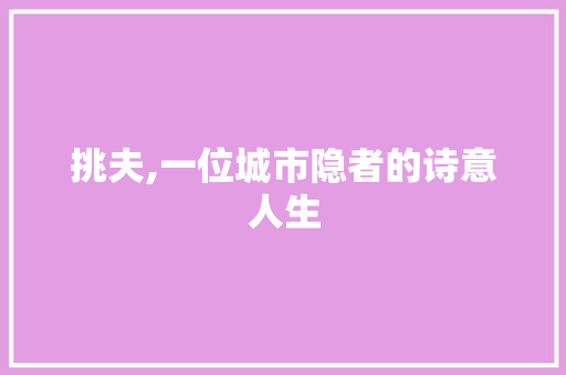 挑夫,一位城市隐者的诗意人生