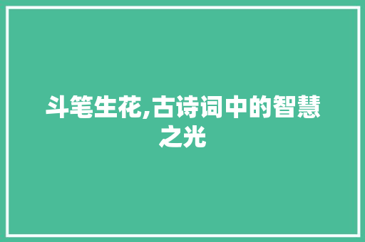 斗笔生花,古诗词中的智慧之光