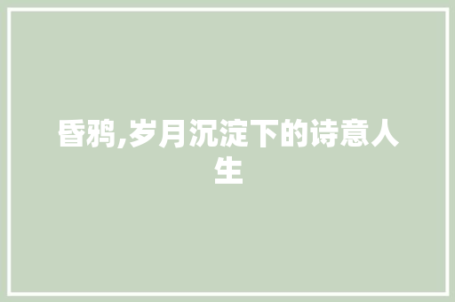 昏鸦,岁月沉淀下的诗意人生