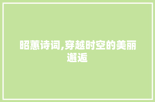 昭蕙诗词,穿越时空的美丽邂逅